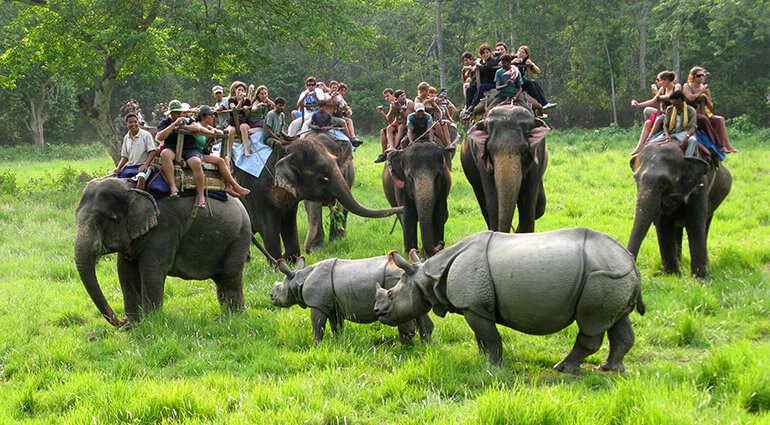 Chitwant Safari